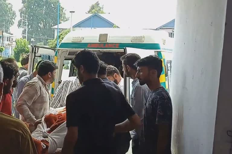 Road Accident In Shadipora