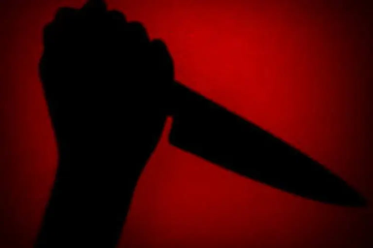 Man stabs wife