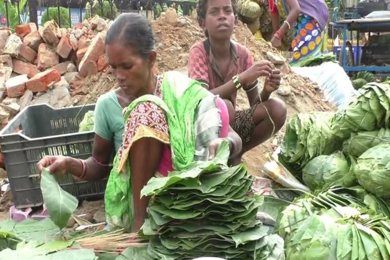 uses of leaves in nuakhai