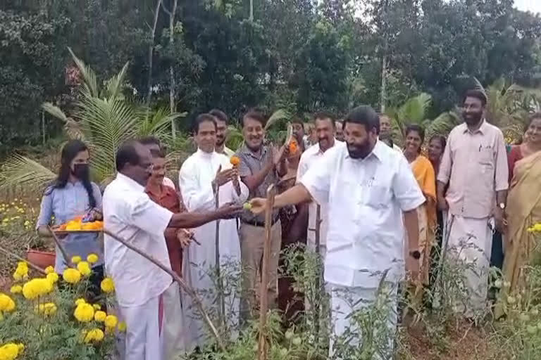 Students cultivated flowers in Kottayam  Flower farming by school students at Kottayam  Flower farming by school students  Students cultivated flowers  Kottayam  കോട്ടയം കൈപ്പുഴ  മന്ത്രി വി എന്‍ വാസവന്‍  പൂ കൃഷി ചെയ്‌ത് വിദ്യാര്‍ഥികള്‍  ഹോർട്ടികൾച്ചർ  Horticulture  പൂ കൃഷി  Flower farming