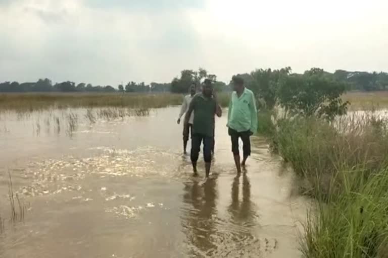 young man died after water washed away in flood water in kendrapara