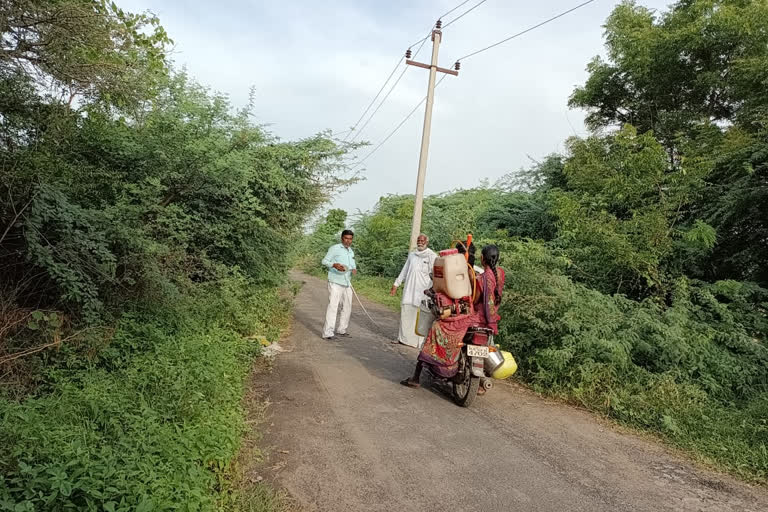 Social Organization Demand Cutting Roadside Trees