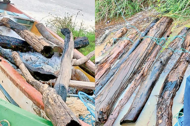 Timber smuggling in telangana