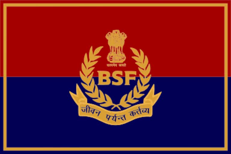 BSF jawan commits suicide