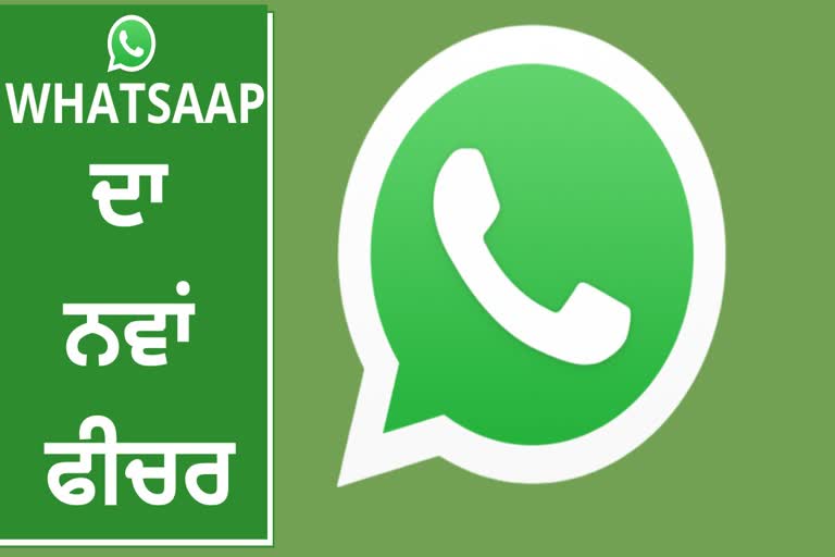 WhatsApp Feature