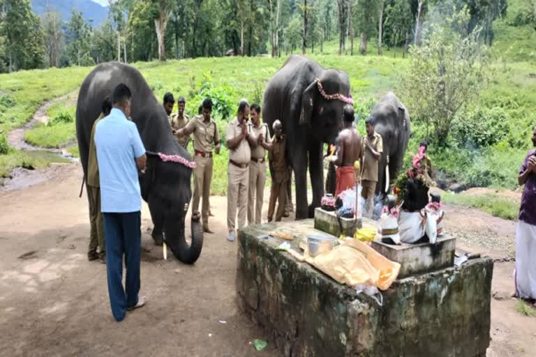 ஆனைமலை யானைகள் காப்பகத்தில் விநாயகர் சதுர்த்தி கொண்டாட்டம்