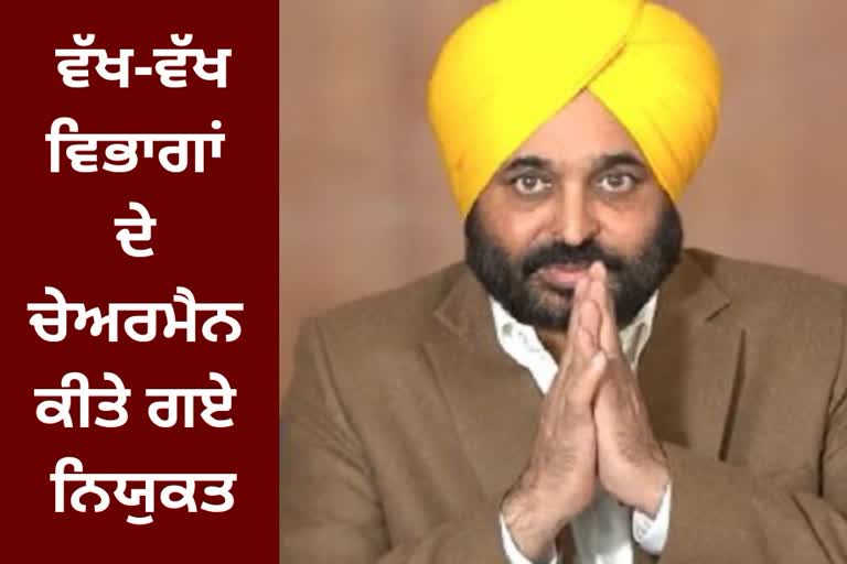 Chief Minister Bhagwant Mann