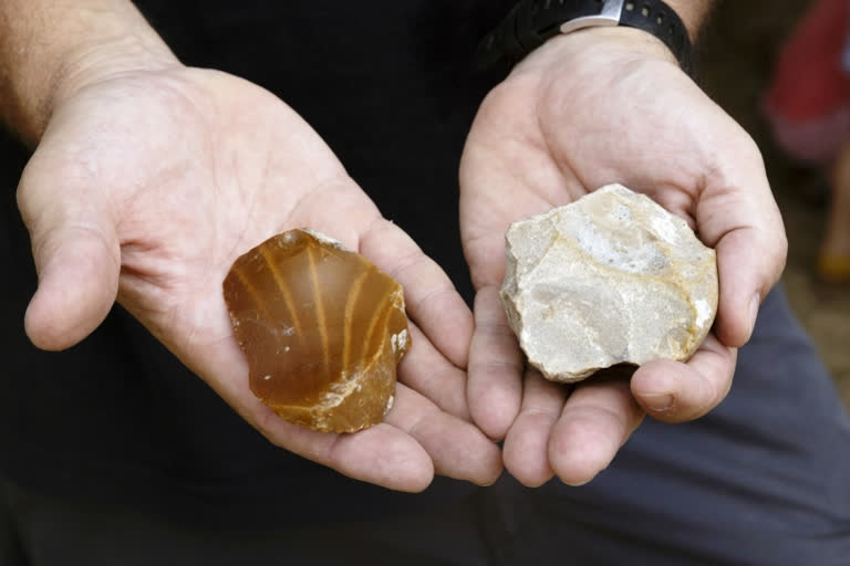 Rare 500,000 year old elephant tusk uncovered in Israel