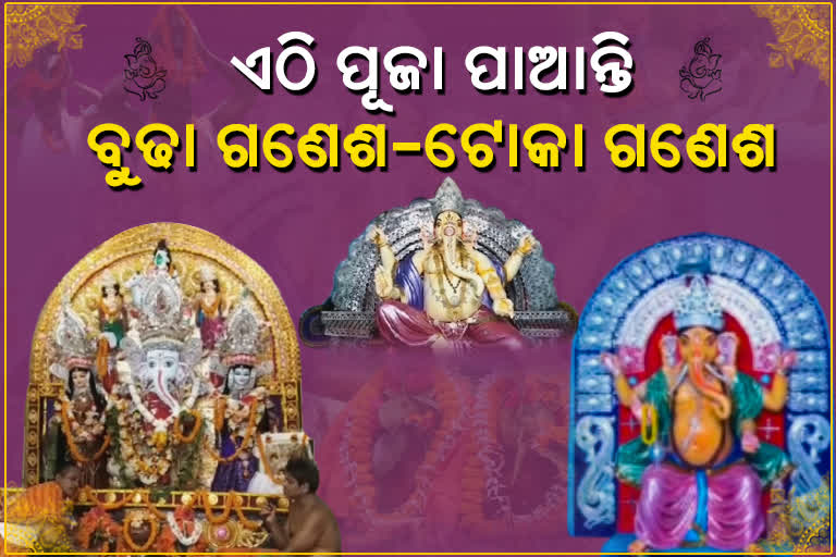 ଧରାଧାମରେ ଅଗ୍ରପୂଜ୍ୟ, ଭଦ୍ରକରେ ମାସେ କାଳ ପୂଜା ପାଇବେ ବୁଢ଼ା ଟୋକା ପିଲା ଗଣେଶ