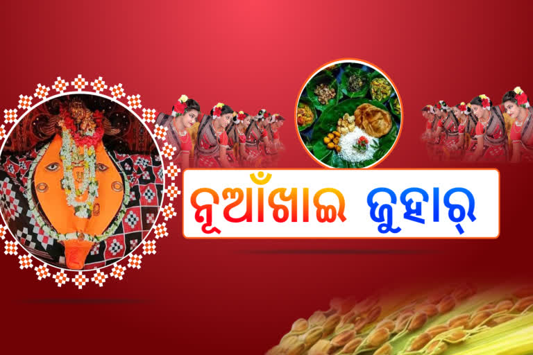 କୃଷିଭିତ୍ତିକ ପର୍ବ ନୂଆଁଖାଇ,ଲଙ୍କେଶ୍ବରୀଙ୍କ ଠାରେ ଲାଗି ହେଲା ନବାନ୍ନ