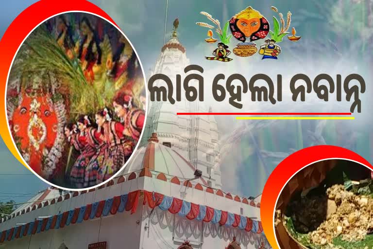 ପାଳିତ ହେଲା ନୂଆଁଖାଇ,  ମା ସମଲେଶ୍ୱରୀଙ୍କ ଠାରେ ଲାଗି ହେଲା ନବାନ୍ନ