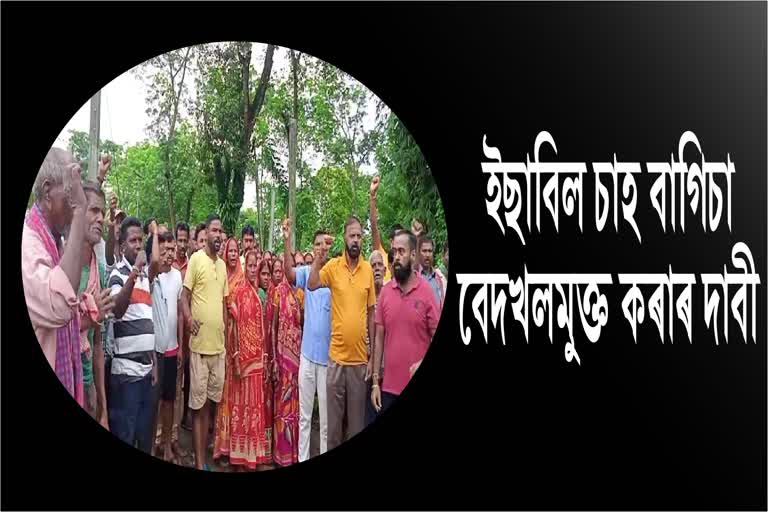 tea-labourers-stage-protest-against-encroachment-of-tea-garden-land-in-karimganj