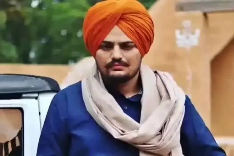 ESidhu Moosewala Murder : પોલીસ ચાર્જશીટમાં ગોલ્ડી બ્રાર મુખ્ય કાવતરાખોરtv Bharat