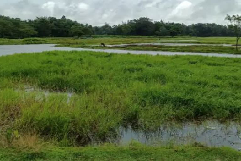 (Assam govt announced Biodiversity Heritage Site