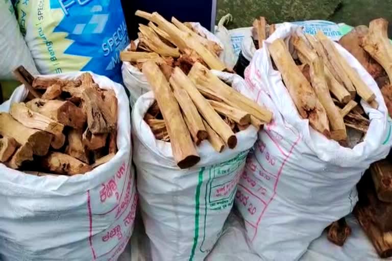 Eight sandalwood thieves arrested in Bangalore