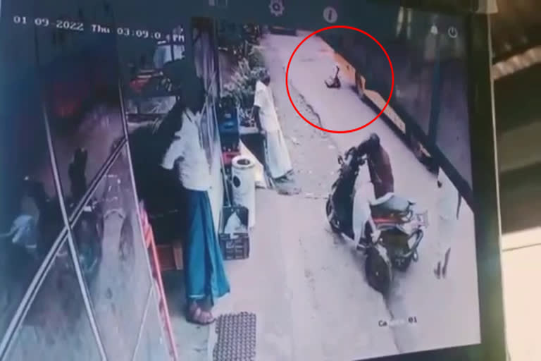 student falls from school bus in edathala  എടത്തലയില്‍ വിദ്യാര്‍ഥി സ്‌കൂൾ ബസിൽ നിന്ന് വീണു  Child Rights Commission  സ്‌കൂള്‍ ബസില്‍ നിന്ന് വിദ്യാര്‍ഥി തെറിച്ചു വീണു  എല്‍കെജി വിദ്യാര്‍ഥിനി സ്‌കൂൾ ബസിൽ നിന്ന് വീണു  വിദ്യാര്‍ഥിനി ബസില്‍ നിന്ന് തെറിച്ചുവീണു  ബാലാവകാശ കമ്മീഷൻ  വിദ്യാര്‍ഥി സ്‌കൂൾ ബസിൽ നിന്ന് തെറിച്ചു വീണ സംഭവം