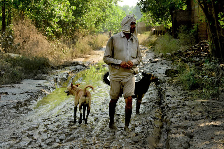 WHO declares Pakistan floods highest level of health emergency