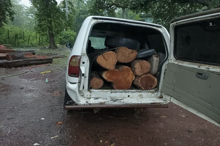 Teak being taken from Bijapur