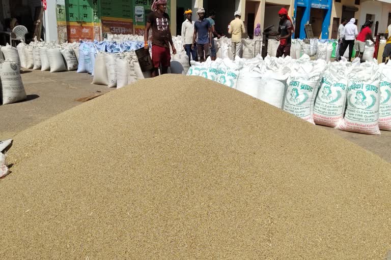 fertilizer of millet crop in Nuh
