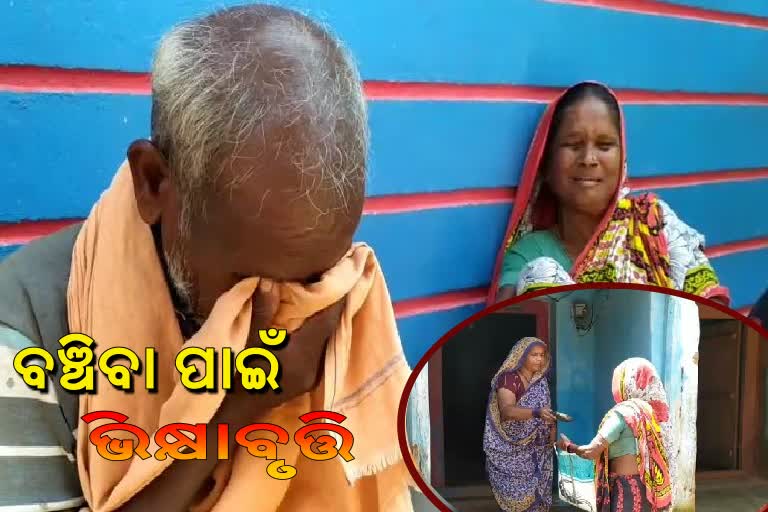 helpless old couple not getting any government assistance in ganjam