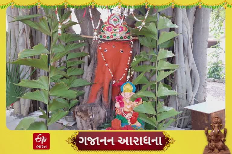 વડના વૃક્ષમાં સ્વયંભૂ પ્રગટ થયા ગણપતિ મહારાજ લોકો કરે છે નિત્ય દર્શન