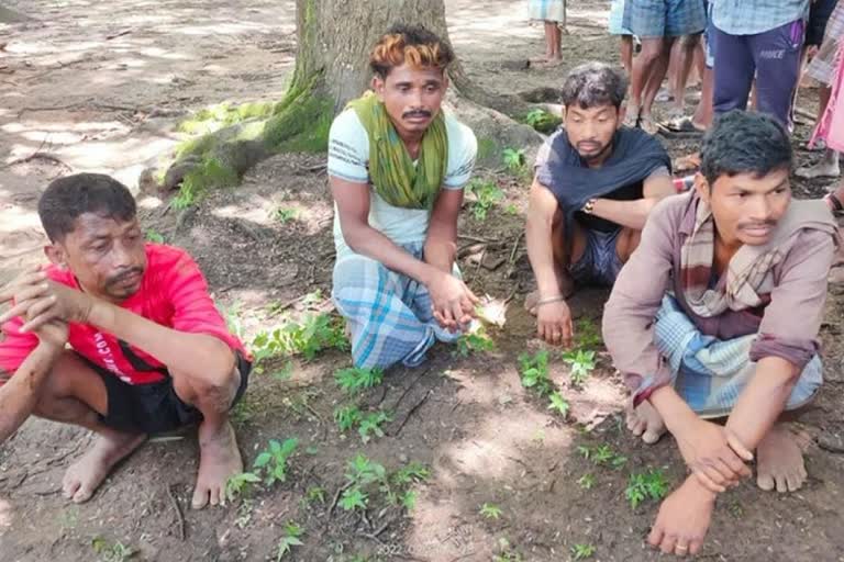 दंतेवाड़ा के जबेली गांव में सुपारी किलिंग