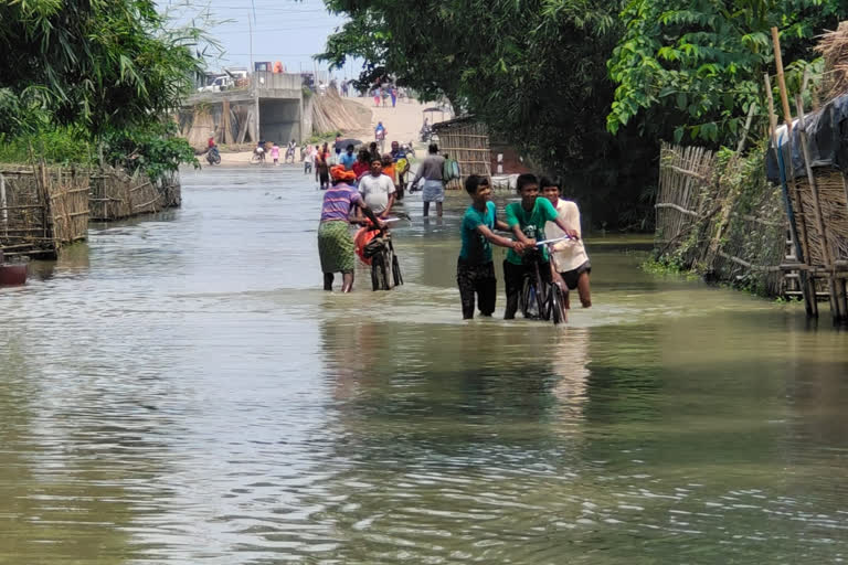 malda-flood-and-erosion-situation-getting-worse