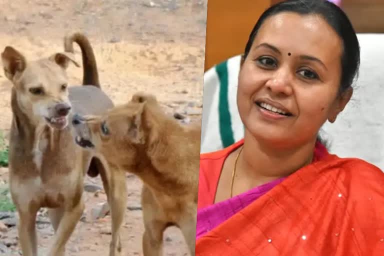 Rabies virus  genetic mutation of Rabies virus  Rabies virus to be tested for genetic mutation  Health Minister  Health Minister Veena George  പേ വിഷബാധ  ജനിതകമാറ്റം  ആരോഗ്യമന്ത്രി  റാബീസ്  ആരോഗ്യമന്ത്രി വീണ ജോര്‍ജ്  തിരുവനന്തപുരം