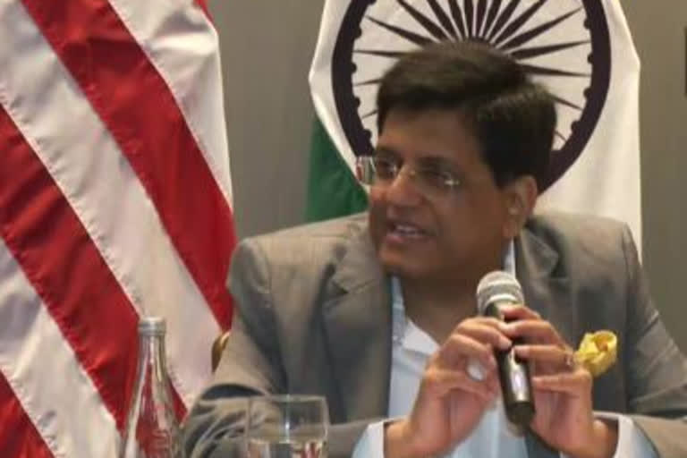 Piyush Goyal