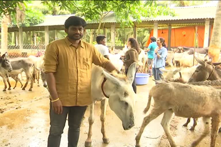 A young man from Andhra Pradesh is earning by rearing more than 100 donkeys  സോഫ്‌റ്റ്‌ വെയര്‍ എന്‍ജീനിയറിങ്  കഴുത വളര്‍ത്തല്‍  യുവകര്‍ഷകന്‍  ലാഭം കൊയ്‌ത് യുവകര്‍ഷകന്‍  Donkey farm in Andhra Pradesh  Andhra Pradesh  Andhra Pradesh news  news updates in Andhra Pradesh  latest news updates in Andhra Pradesh  National news  National news updates  ദേശീയ വാര്‍ത്തകള്‍