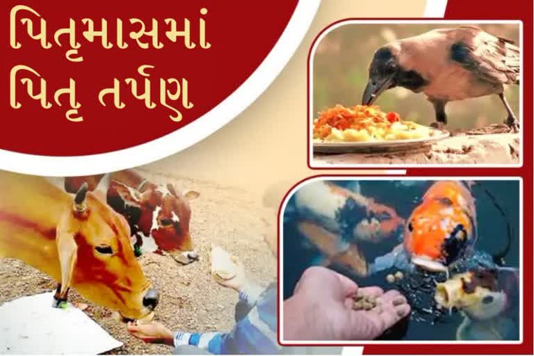 ભાદરવામાં પિતૃ દિવસોમાં આટલું કરવાથી મળશે અઢળક લાભ