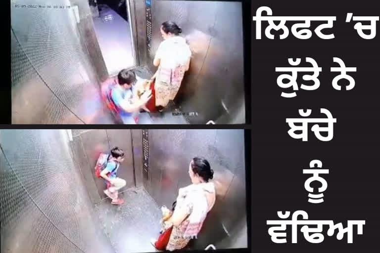 dog bites child in lift