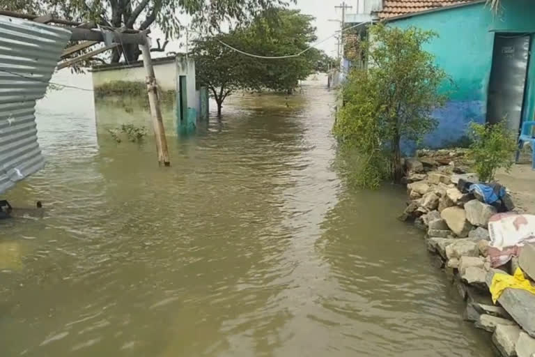 காவிரி ஆற்றில் ஏற்பட்ட வெள்ளப்பெருக்கால் பவானி நகரில் வீடுகளை வெள்ளம் சூழ்ந்தது