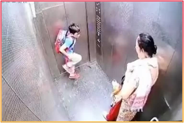 dog bites child in lift