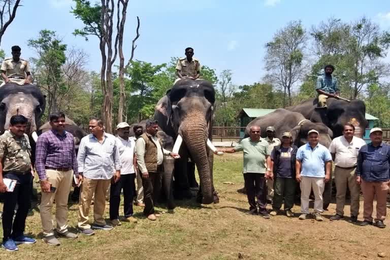 forest-minister-umesh-katthi-visited-chamarajanagara-reserved-forest