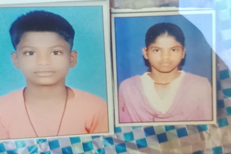 brother sister died due to snake bite
