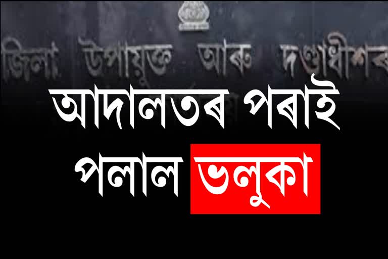 শিৱসাগৰত আদালতৰ পৰাই পলায়ন কৰিলে ভলুকা চোৰ