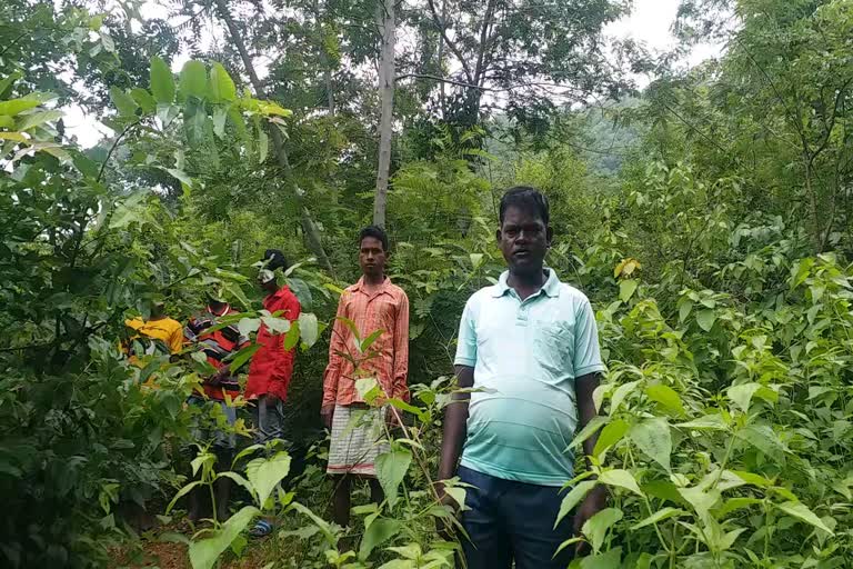 Villagers protect forests and punish those who damage trees in Latehar