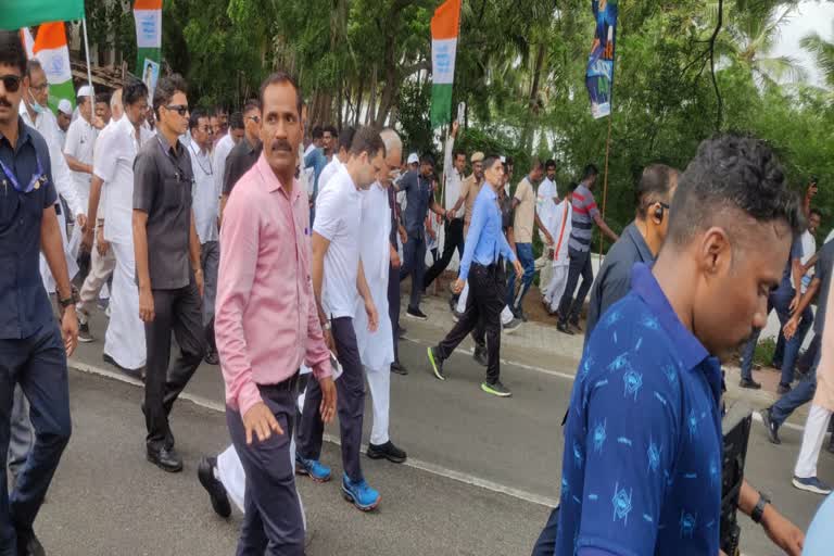 CM Bhupesh Baghel with Rahul Gandhi in 'Bharat Jodo Yatra'