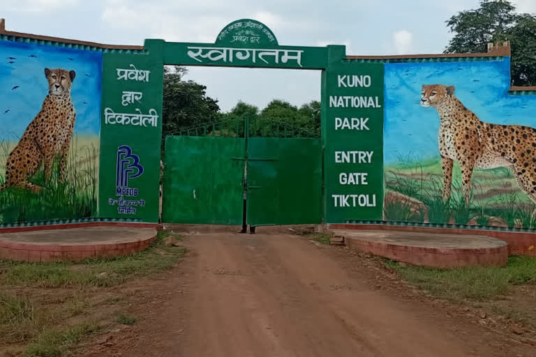 Kuno Palpur Sanctuary for PM Modi visit