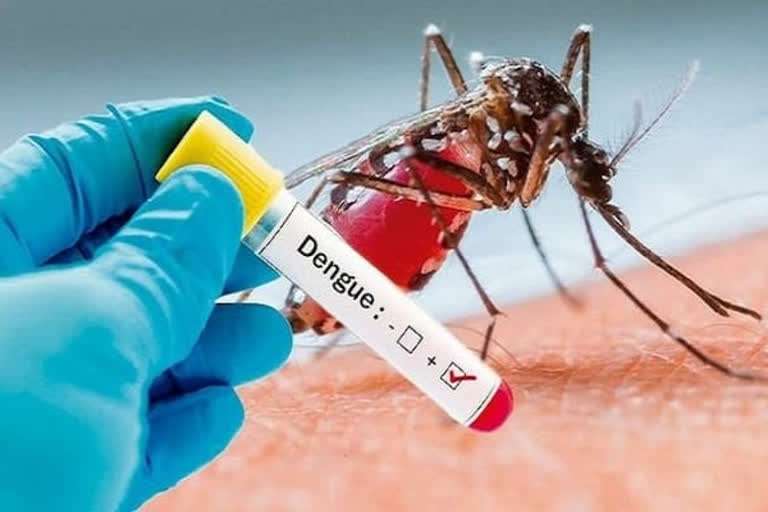 kasba-girl-dies-another-dengue-death-in-kolkata