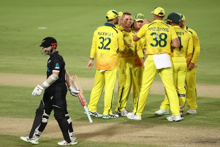 Australia beat new zealand