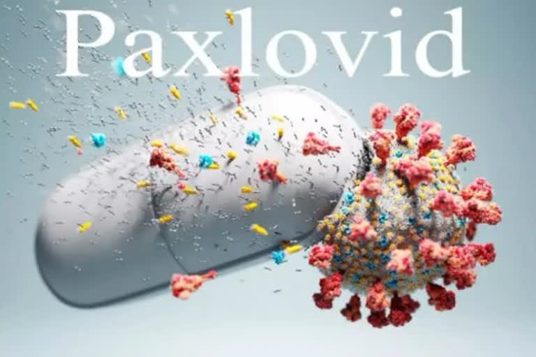 Paxlovid for COVID: ଲଞ୍ଚ ହେଲା କୋଭିଡ ଔଷଧ ପ୍ୟାକ୍ସଲୋଭିଡ