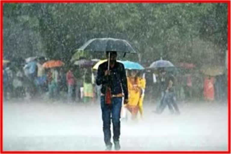 Maharashtra Rain