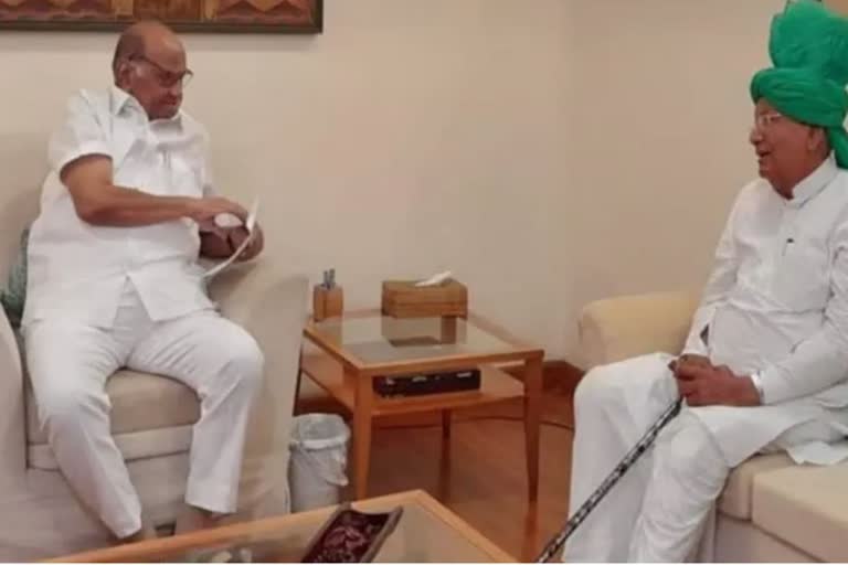 OM Prakash Chautala Meets Sharad Pawar