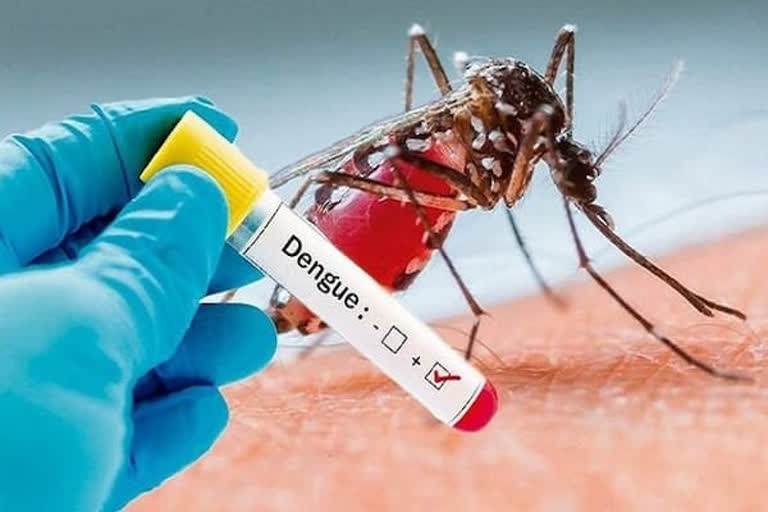 Dengue claims another life in Kolkata