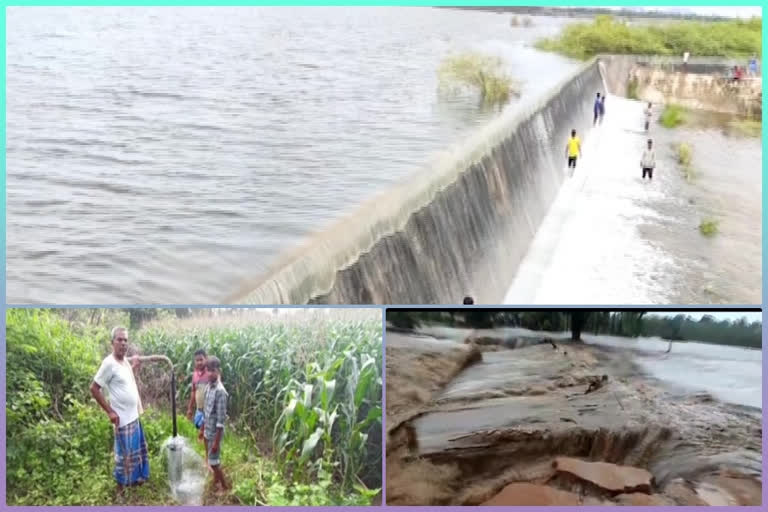 Rains in AP