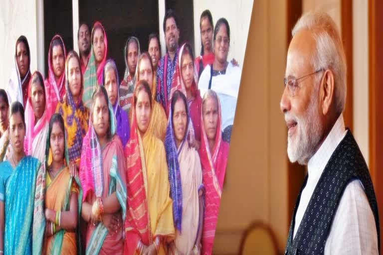 PM narendra modi launch cheetah project