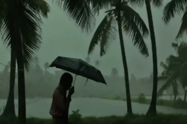 weather updates kerala  rain updates  heavy rain  rain news  kerala rain  മഴ വാർത്തകൾ  കേരളത്തിൽ മഴ  ശക്തമായ മഴ  ന്യൂനമർദ്ദം  തീവ്ര ന്യൂനമര്‍ദ്ദം  യെല്ലോ അലർട്ട്  മഴയ്‌ക്ക് സാധ്യത  ഇന്ന് യെല്ലോ അലർട്ട്  കാലാവസ്ഥ നിരീക്ഷണ കേന്ദ്രം  മഴ മുന്നറിയിപ്പ്ക  മണ്‍സൂണ്‍ പാത്തി