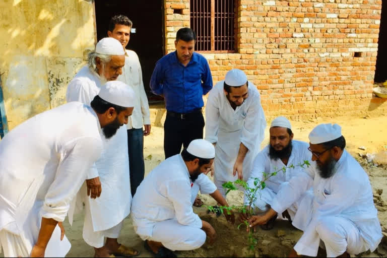 Jamiat Started Plantation Campaign